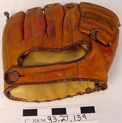 Dave Williams Baseball Mitt