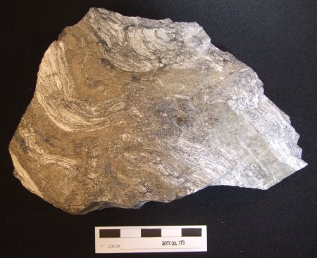mineral sample of galena, sphalerite, chalcopyrite, and bornite