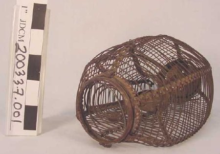 Oval shaped wire mouse trap