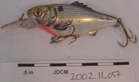 Tom Mann Detailed Plastic Fish