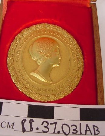 Gold Medal In Box