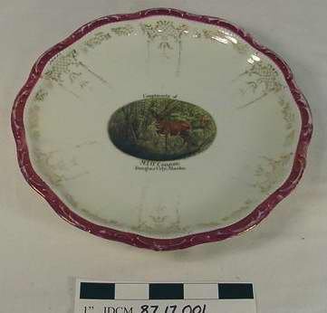 Plate, Commemorative                    