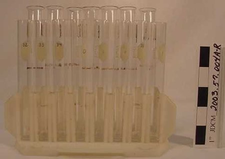 Two Test Tube Sets In White Pl