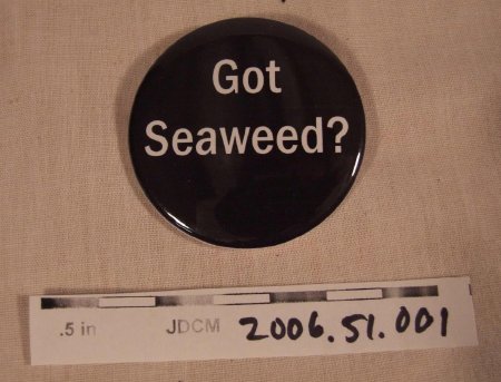 Got Seaweed pin