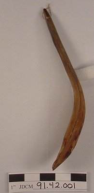 Mountain Sheep Horn Spoon