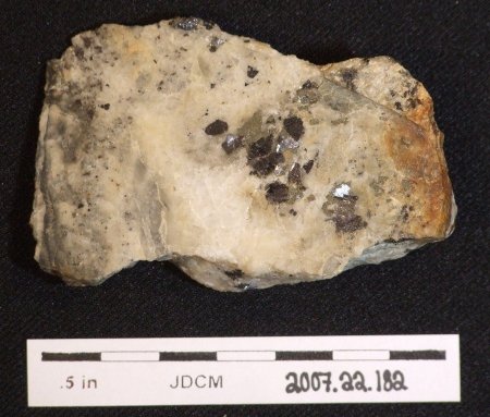 mineral sample of gold in pyrite and quartz