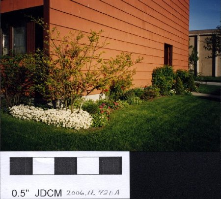 Mountain View Senior Housing Gardens 1993-side