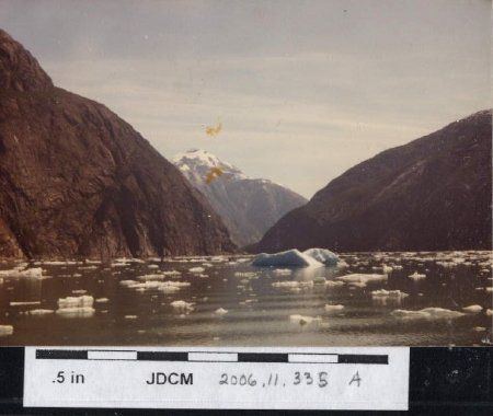 Iceberg amidst ice in Tracy Arm 1981
