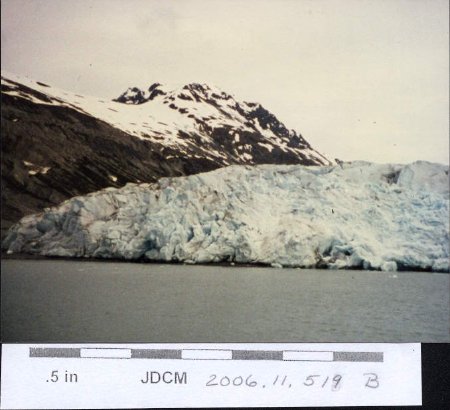 Glacier Bay Glacier terminus
