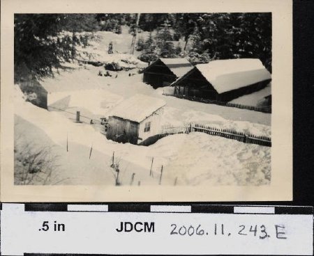 Olson farm in winter showing mink pens and generator shed