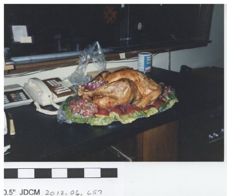 Thanksgiving turkey 11-22-1984