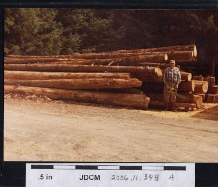 Carl Jensen starts woodpile 1982