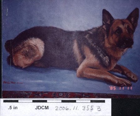 Photo of a Portrait of a dog done by Bill C. Ray 1985