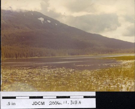 Windfall Lake 1977