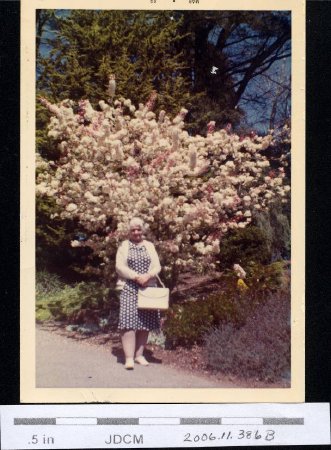 Mother Hoff - Golden Gate Park. 1968 S. F.