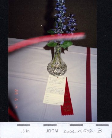 Gardening Club show in Juneau Second Prize, June 1989
