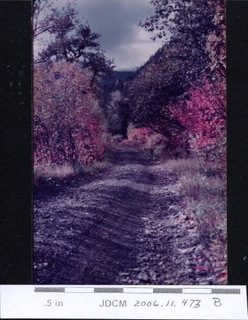1950 Basin Road in Fall