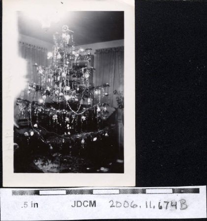Olson Christmas tree