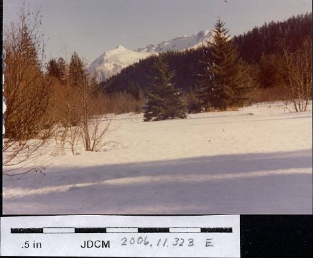 Winter 1978 Peterson meadow
