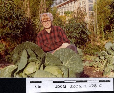 Caroline & cabbage 1976