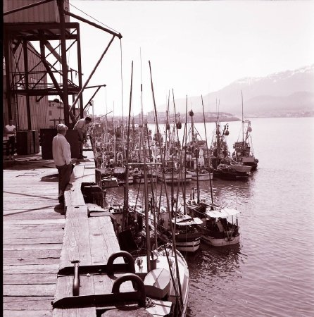 Boats and dock