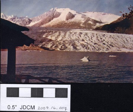 The Mendenhall Glacier from skater's cabin ~1960