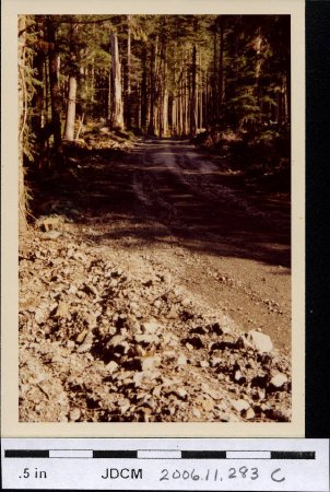 Echo cove road to beach '72