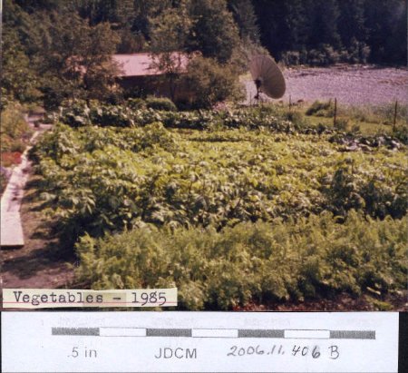 Jensen Vegetable Garden 1985