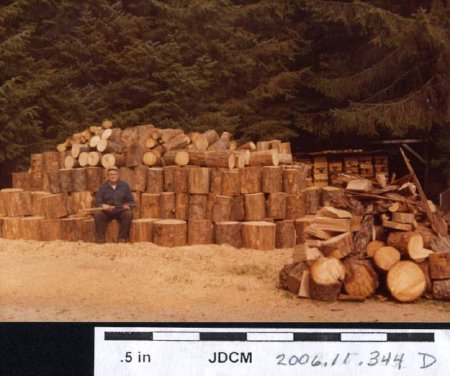 Carl Jensen's big woodpile project 1982