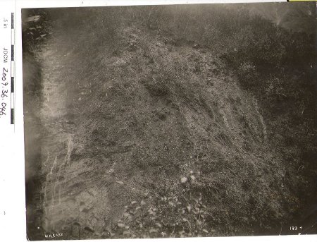 Plffs Exhibit No.8 Received in evidence JUL 23 1914