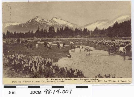 Knudson's Ranch With Cows, Bla
