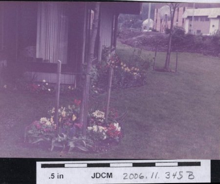Bertha Hoff's condo garden 1982