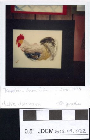 Rooster -from Life - Jan. 1977 Julie Johnson 4th grade