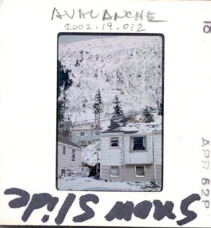 Color Slide of Avalanche Damag