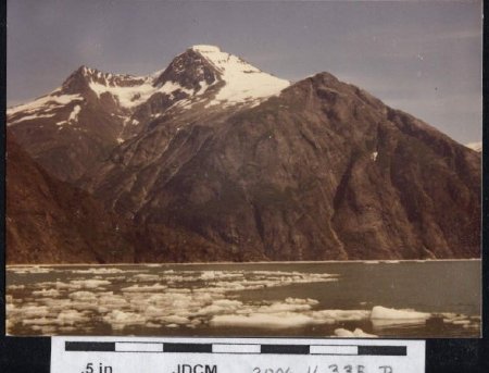 Icy fiord & mountains in Tracy Arm JUly 1981