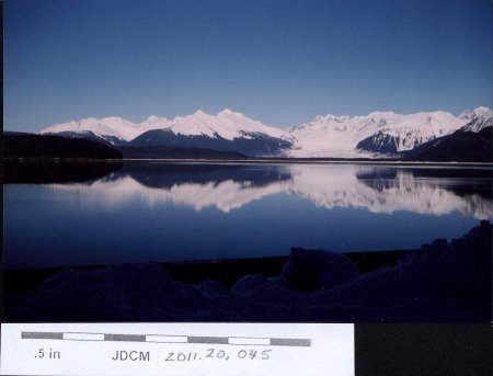 Mendenhall Glacier 1959 (reflection taken from N. Douglas)