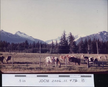 1951 Kendler's Dairy