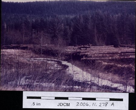 Logging in spring 1970