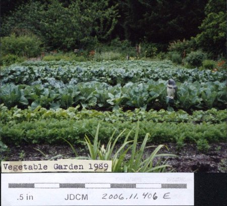 Jensen Vegetable Garden 1989