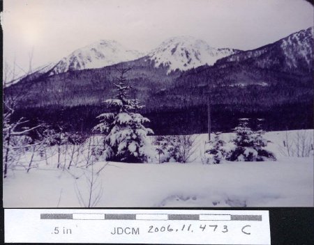Glacier Hwy near Salmon Crk 1949