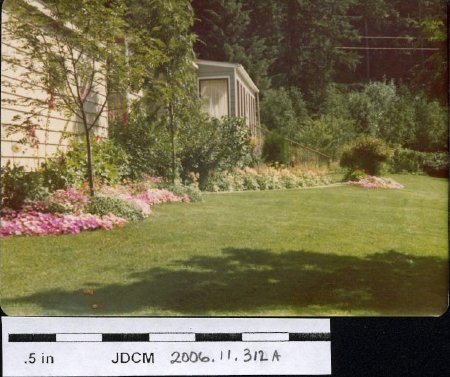Jensen's flowers 1977