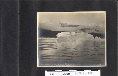 Iceberg in Juneau Harbor