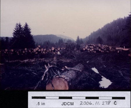 Logging in meadow 1970