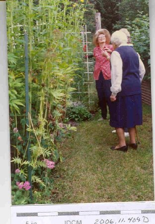 Caroline Jensen's garden and Doreen & Edith Merrell 8/90