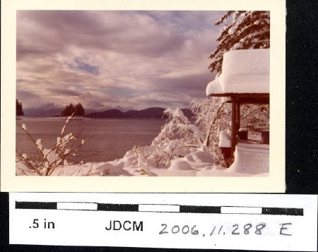 Winter view from cabin 1972