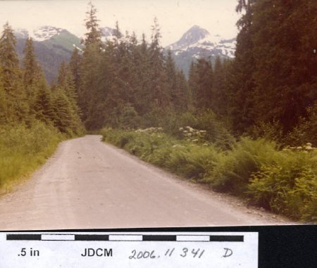 Montana Creek Road 1977