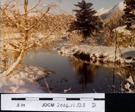 Peterson Crk winter 1978