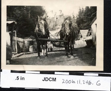 Horse drawn hay wagon, Erma & Charley Olson