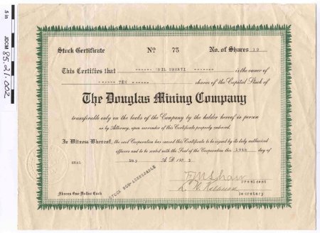 Certificate, Stock                      
