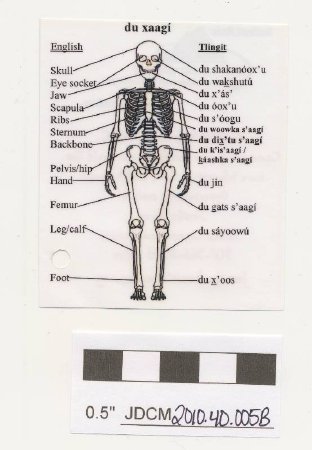 Tag to Tlingit Language Skeleton Keychain